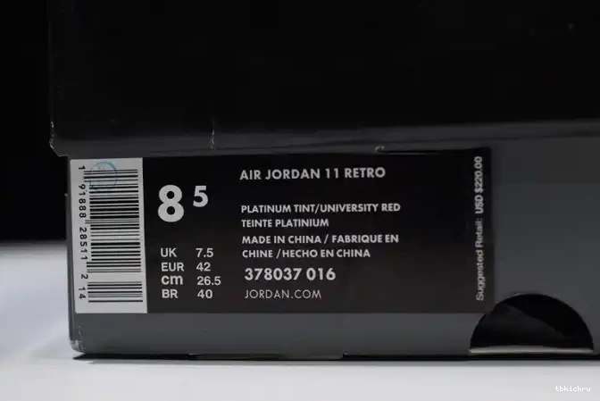 Reps TBK Air Platinum Tint 378037-016 Jordan Retro 11 0610